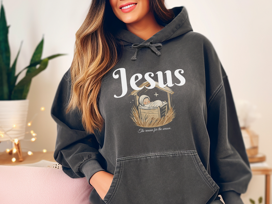 Jesus Is The Reason Hoodie